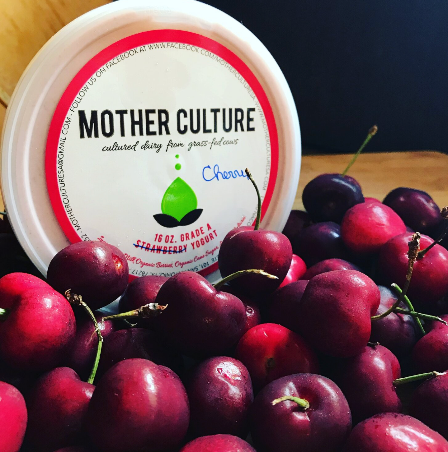 Mother Culture - Greek Yogurt - 16oz